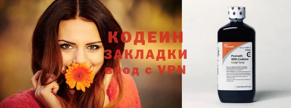 таблы Козловка