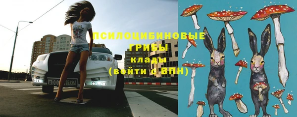 эйфоретик Козельск